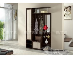 Прихожая Ксения 2