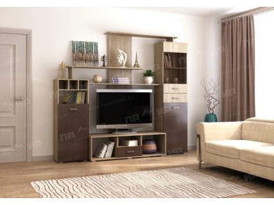 Гостиная Карина