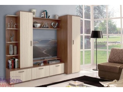 Стенка Николь