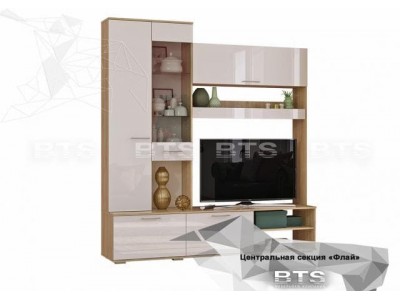 Центральная секция Флай