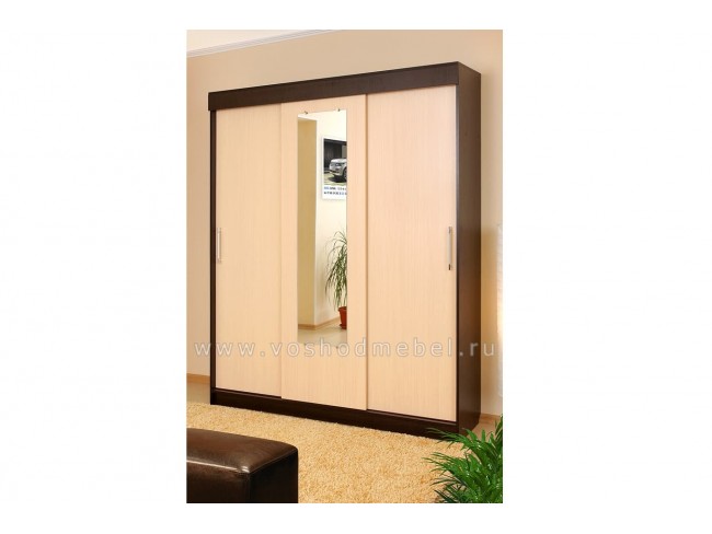 Шкаф Купе Холл КХ 3/42/1з