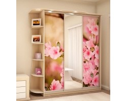 Шкаф-купе Кардинал