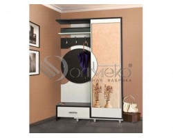 Шкаф комбинированный "Визит-М09"