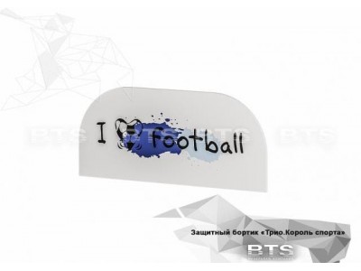 Бортик защитный Трио Король спорта
