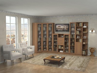 Библиотека модульная Феникс