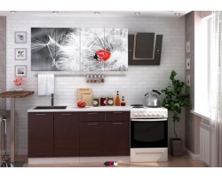 Кухня с фотопечатью Одуванчик 1,6 м