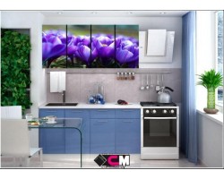 Кухня с фотопечатью Подснежник 1,6 м