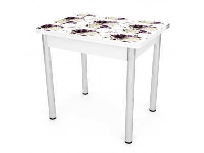 Стол обеденный ЛС-831 (пластик 999 Прованс/ ноги Хром/кромка+подстолье белый)