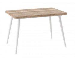 БОРГ RADIAL-120(160)х80стол раздвижной, Дуб каньон/Белый