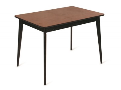 Стол Рэй-1030 прямоугольный (венге / средний тон + венге)