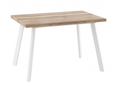 БОРГ-120(160)х80стол раздвижной Дуб каньон/Белый
