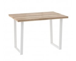 СТРОНГ-120х80, стол нераздвижной Дуб каньон/Белый