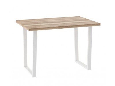 СТРОНГ-120х80, стол нераздвижной Дуб каньон/Белый